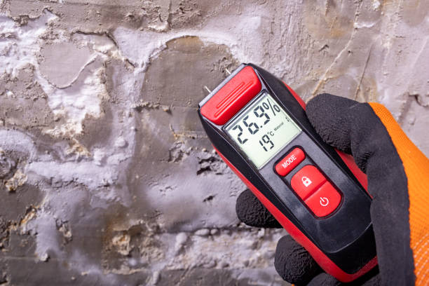 Best Fast Mold Removal  in Baldwin, PA