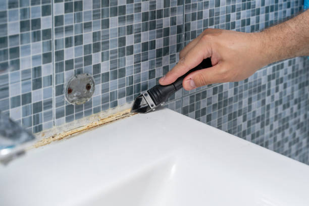 Best Local Mold Removal Service  in Baldwin, PA